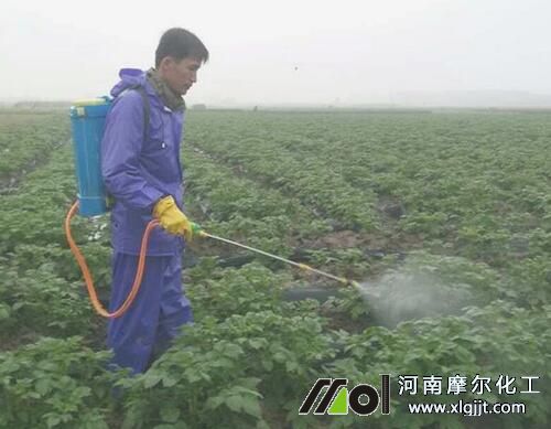 富硒葉面肥噴施方法