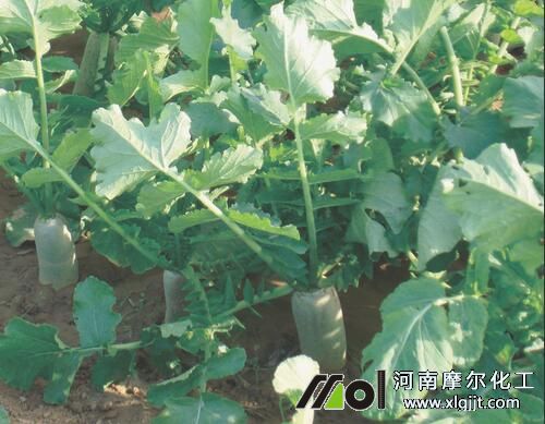 富硒葉面肥使用方法