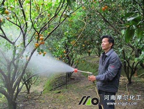 葉面肥引起藥害解決