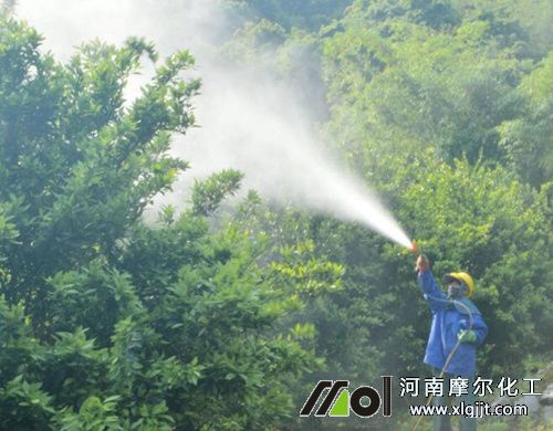 植物精油殺菌效果