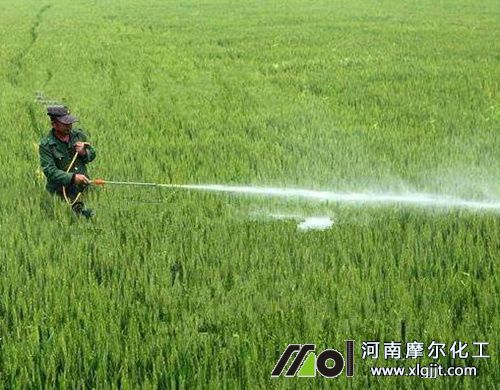 植物精油殺蟲效果