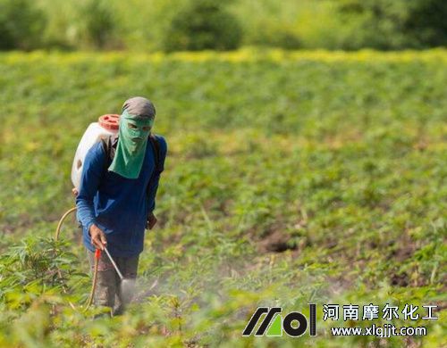 植物精油除草效果