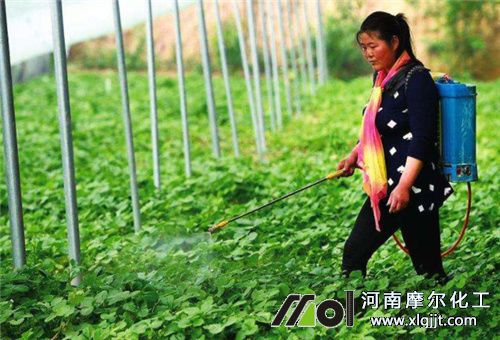 肥料過量噴水補救